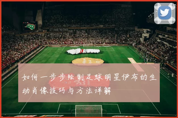 如何一步步绘制足球明星伊布的生动肖像技巧与方法详解