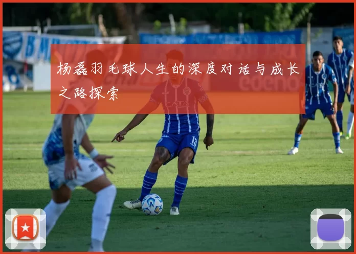 杨磊羽毛球人生的深度对话与成长之路探索