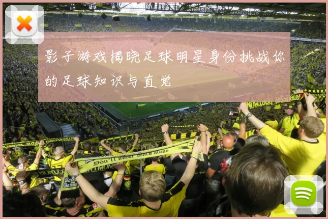影子游戏揭晓足球明星身份挑战你的足球知识与直觉