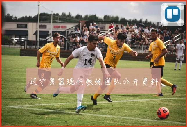 辽宁男篮现任教练团队公开资料