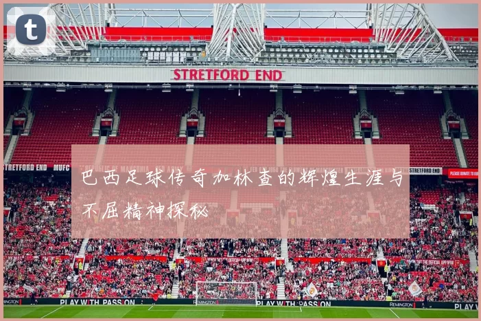 巴西足球传奇加林查的辉煌生涯与不屈精神探秘