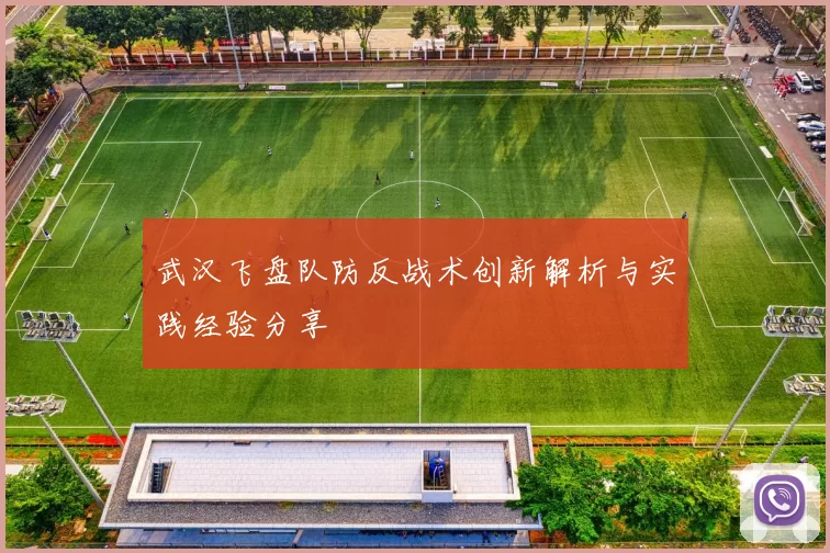 武汉飞盘队防反战术创新解析与实践经验分享