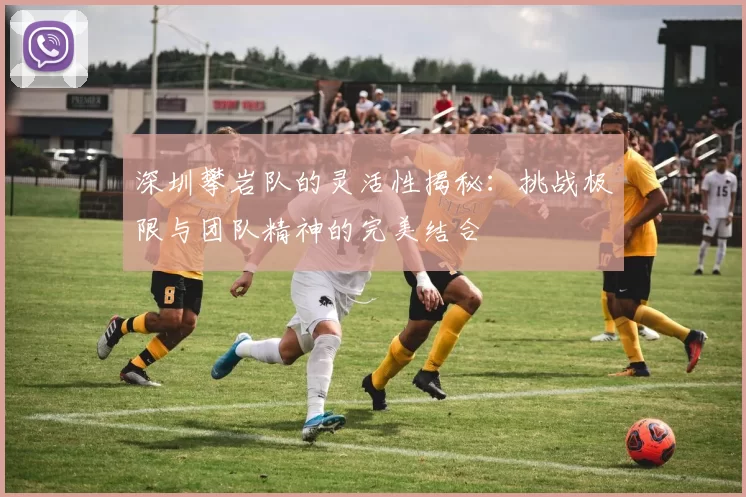 深圳攀岩队的灵活性揭秘：挑战极限与团队精神的完美结合