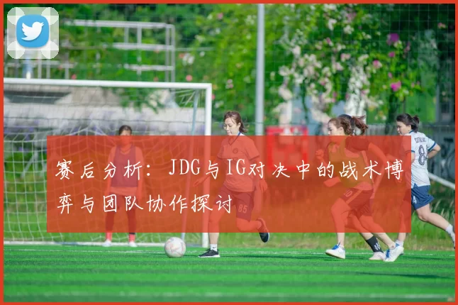 赛后分析：JDG与IG对决中的战术博弈与团队协作探讨