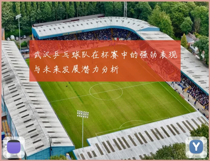 武汉乒乓球队在杯赛中的强劲表现与未来发展潜力分析
