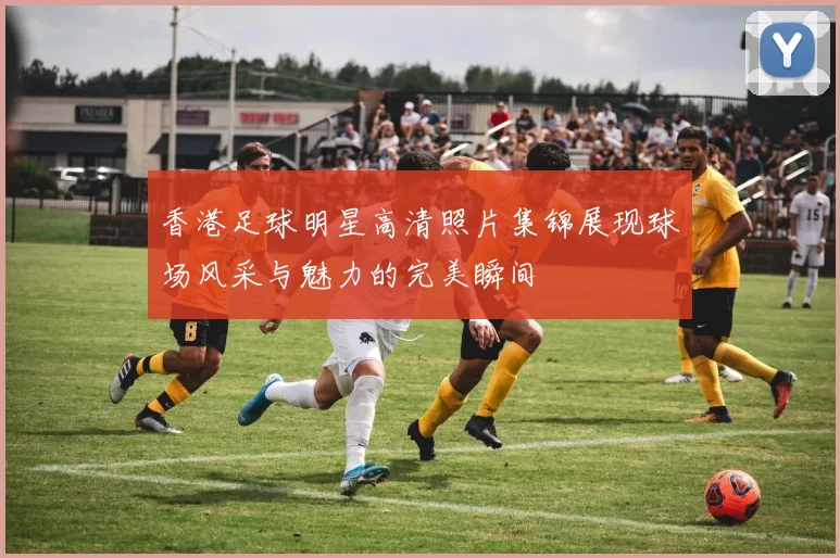 香港足球明星高清照片集锦展现球场风采与魅力的完美瞬间