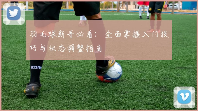 羽毛球新手必看：全面掌握入门技巧与状态调整指南