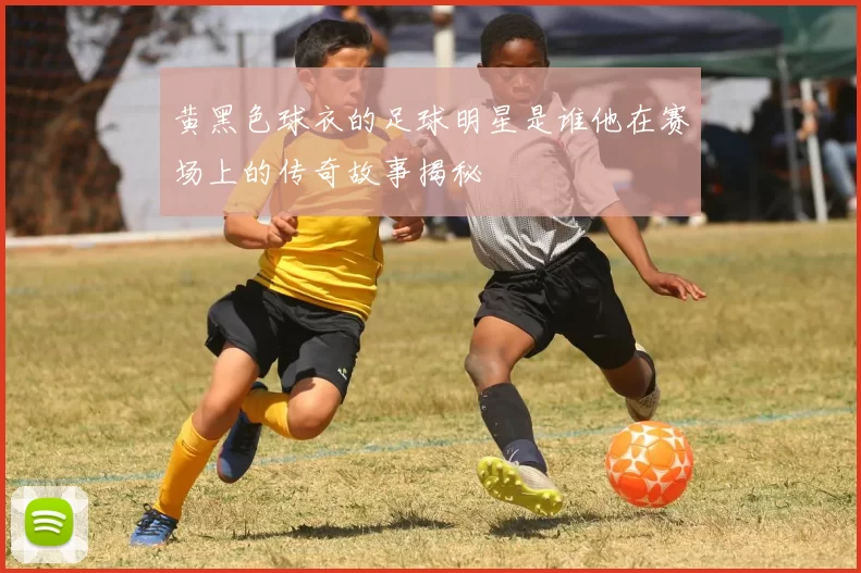 黄黑色球衣的足球明星是谁他在赛场上的传奇故事揭秘