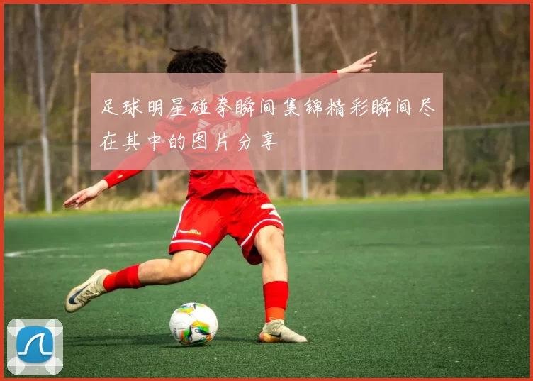 足球明星碰拳瞬间集锦精彩瞬间尽在其中的图片分享