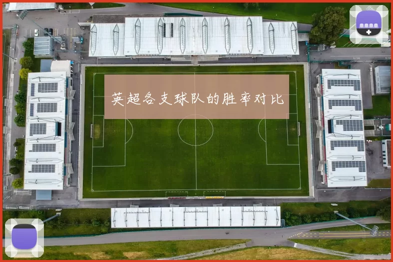英超各支球队的胜率对比