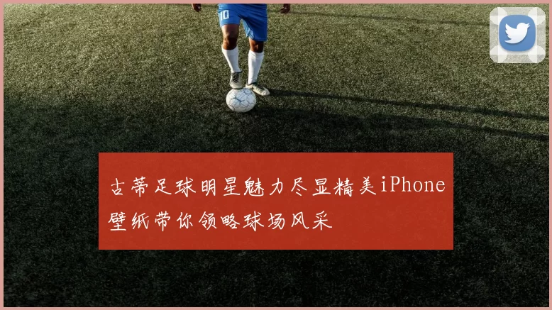 古蒂足球明星魅力尽显精美iPhone壁纸带你领略球场风采