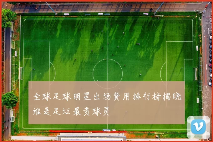 全球足球明星出场费用排行榜揭晓谁是足坛最贵球员