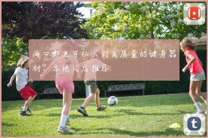 海口哪里可以买到高质量的健身器材？本地门店推荐